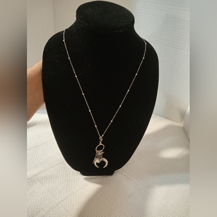 Elegant Silver Necklace With Moon Pendant
